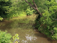Walker Creek Walker Creek